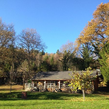 Au Bois De Calais Villa Corrèze Eksteriør billede